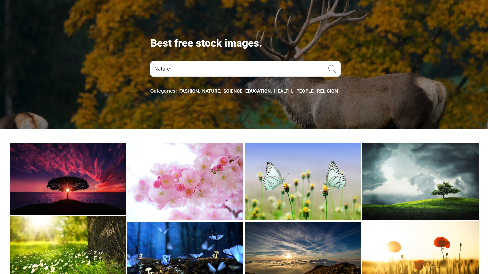 Free Stock Images